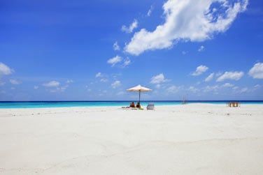 Un vritable bout de paradis...